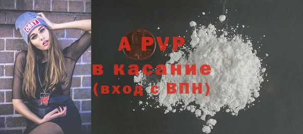 стафф Арсеньев