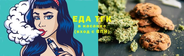 стафф Арсеньев