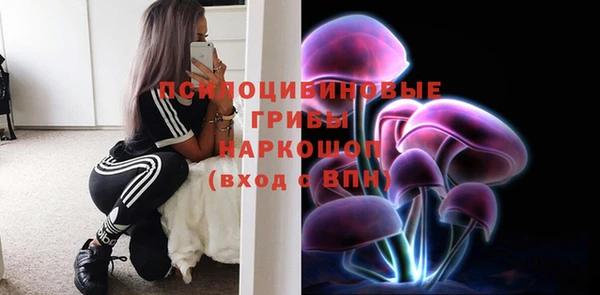 стафф Арсеньев