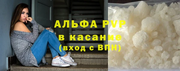 стафф Арсеньев