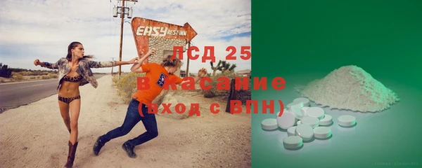 эйфоретик Аркадак