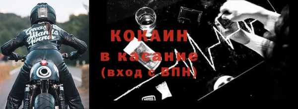 стафф Арсеньев