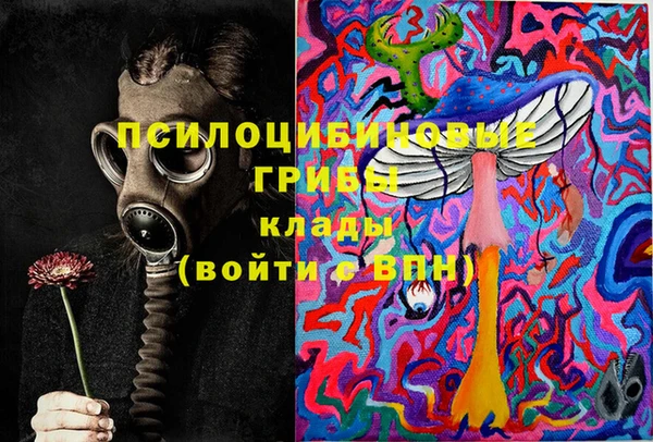 эйфоретик Аркадак