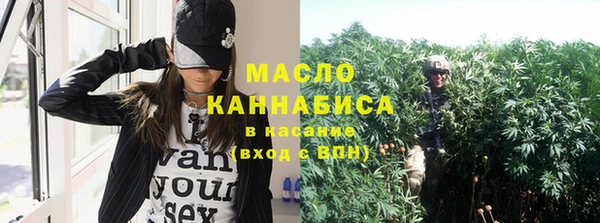 крисы Армянск