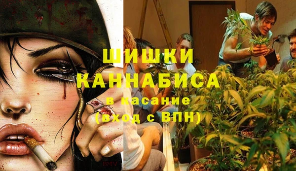 эйфоретик Аркадак